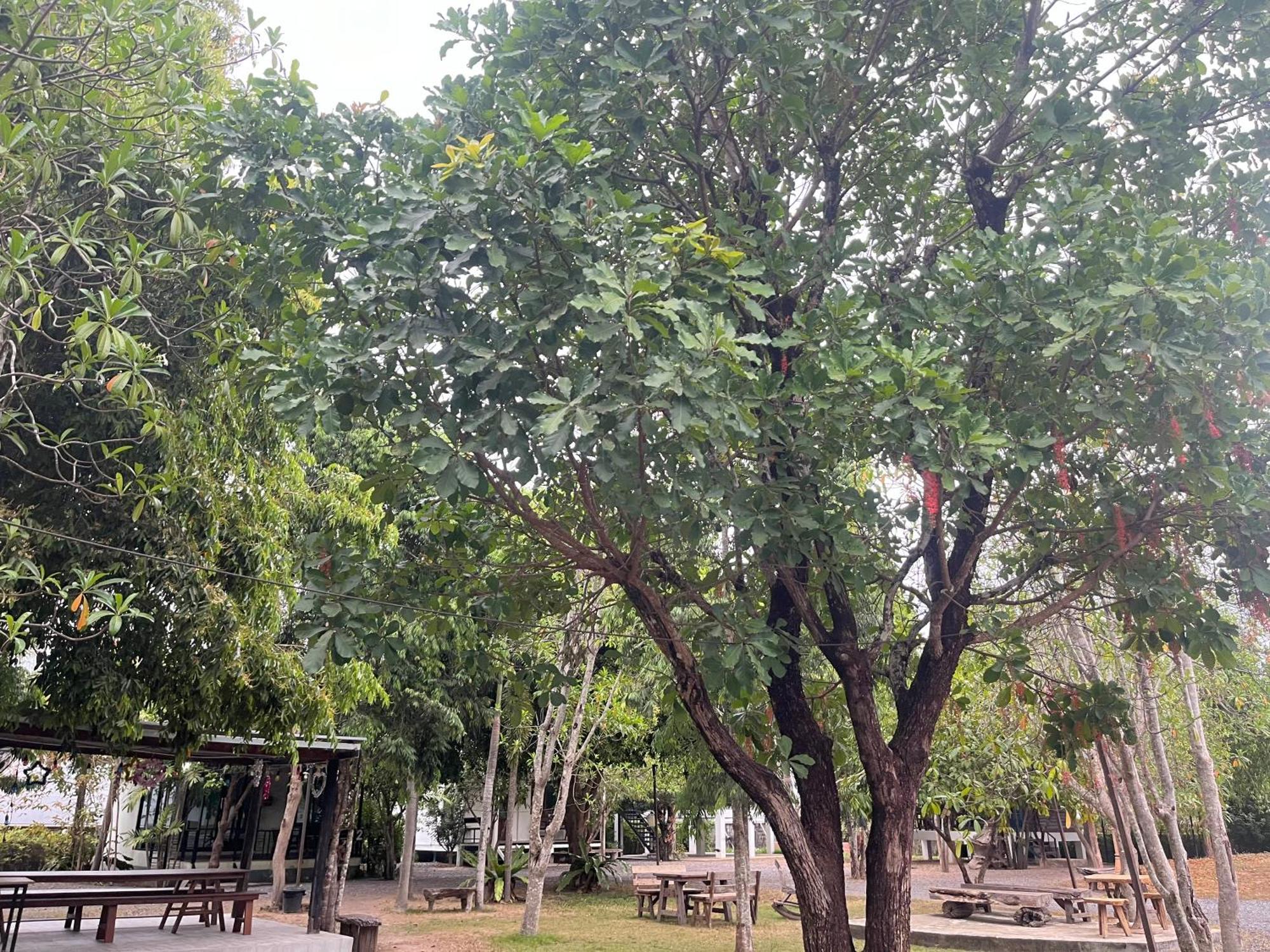 Sangkaset Resort Ban Mong Muang Екстер'єр фото